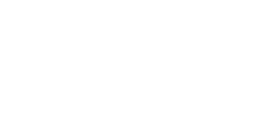 Knowledge Management Safari 2020