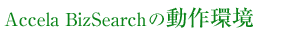 Accela BizSearch�̓����