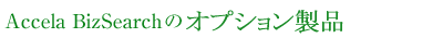 Accela BizSearch�̓����
