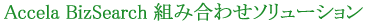 Accela BizSearch �g�ݍ��킹�\�����[�V����