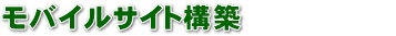 ���o�C���T�C�g�\�z