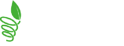 Accela Technology CORPORATION